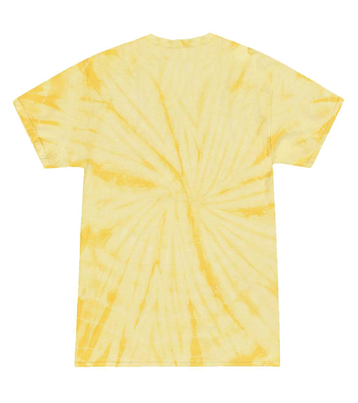 WEST ISLIP - LEANING LION T-SHIRT - SPIDER DANDELION