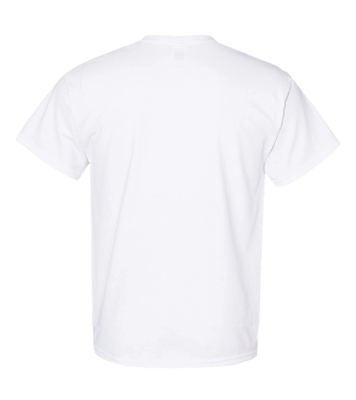 WEST ISLIP - LION COUNTRY T-SHIRT